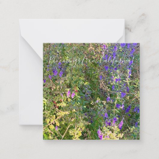 カリフォルニアからのブルーミング:青いカール ノートカード (正面)