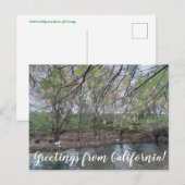 カリフォルニアからの挨拶：プタクリーク ポストカード (正面/裏面)