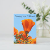 カリフォルニアからの挨拶！ ポストカード (スタンド正面)