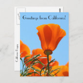 カリフォルニアからの挨拶！ ポストカード (正面/裏面)
