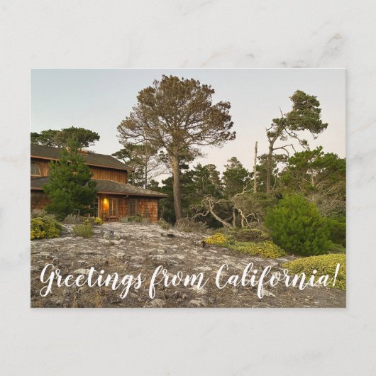 カリフォルニアからの挨拶 ポストカード (正面)