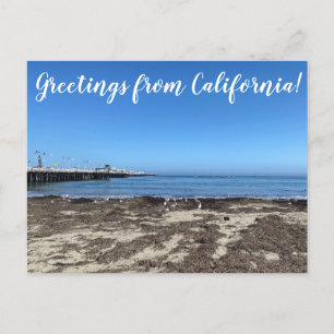カリフォルニアからの挨拶! ポストカード