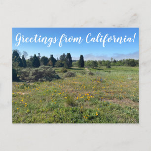 カリフォルニアからの挨拶!ポストカード ポストカード