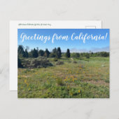 カリフォルニアからの挨拶!ポストカード ポストカード (正面/裏面)