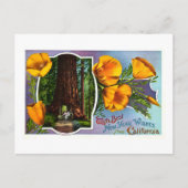 カリフォルニアからの最も最高のな新年の願いを使って シーズンポストカード (正面)