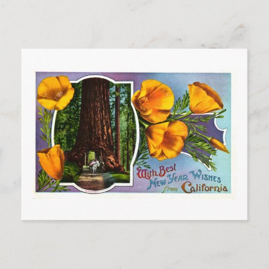 カリフォルニアからの最も最高のな新年の願いを使って シーズンポストカード (正面)