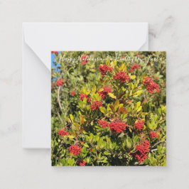 カリフォルニアから素敵なホリデーシーズン！ ノートカード