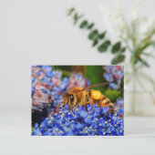 カリフォルニアから花粉を集めるミツバチ薄紫 ポストカード (スタンド正面)