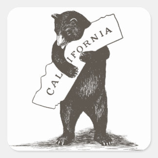 カリフォルニアが大好き スクエアシール