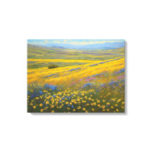 カリフォルニアすごい州の開花、Carrizo Plains