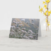 カリフォルニアそば カード (黄色い花)