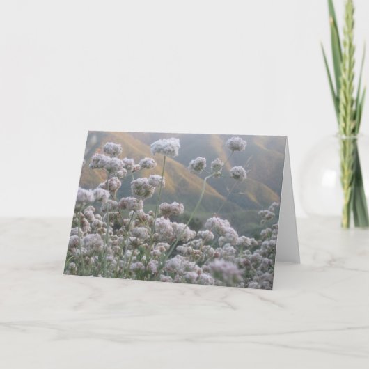 カリフォルニアそば カード (正面)