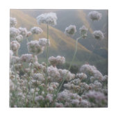 カリフォルニアそば タイル (正面)