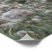 カリフォルニアそば ポスター (角)