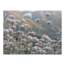 カリフォルニアそば