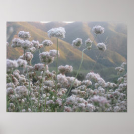 カリフォルニアそば ポスター