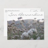 カリフォルニアそば ポストカード (正面/裏面)