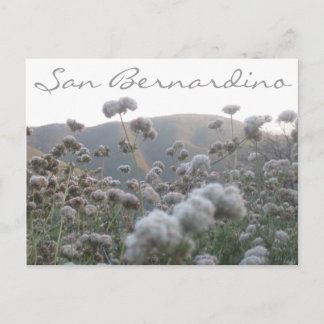 カリフォルニアそば ポストカード