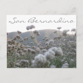 カリフォルニアそば ポストカード