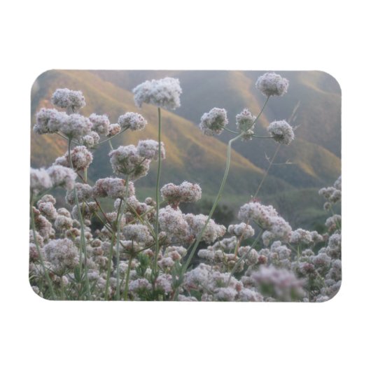 カリフォルニアそば マグネット (横)