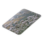 カリフォルニアそば マグネット (左側)