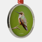 カリフォルニアに座っているハチドリ薄紫 メタルオーナメント (右)