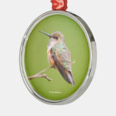カリフォルニアに座っているハチドリ薄紫 メタルオーナメント (左)