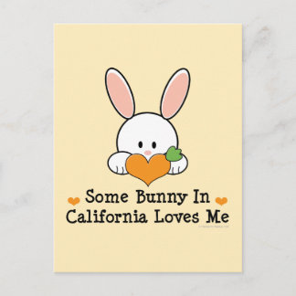 カリフォルニアのいくつかのバニー私はがきを愛している ポストカード