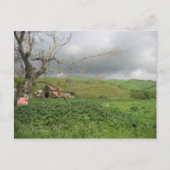 カリフォルニアのはがき – ギルロイ，カリフォルニア ポストカード (正面)