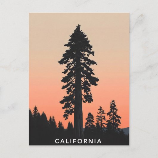 カリフォルニアのはがき ポストカード (正面)