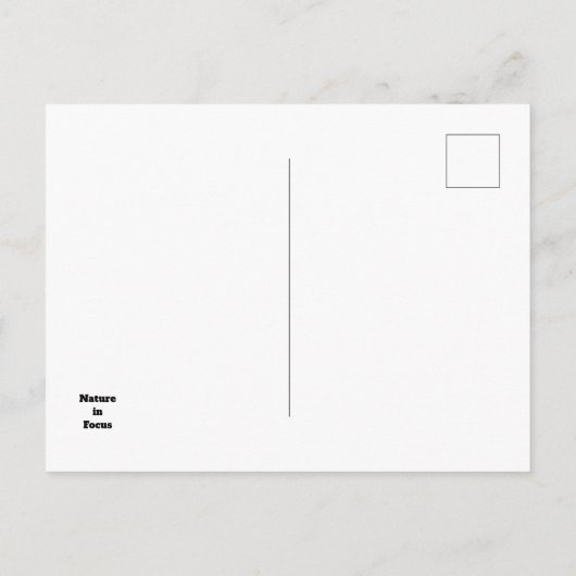 カリフォルニアのアカイロイルカの雌の海洋動物 ポストカード (裏面)