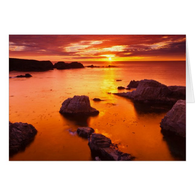 カリフォルニアのオレンジ色の海の風景、夕日 (正面横)