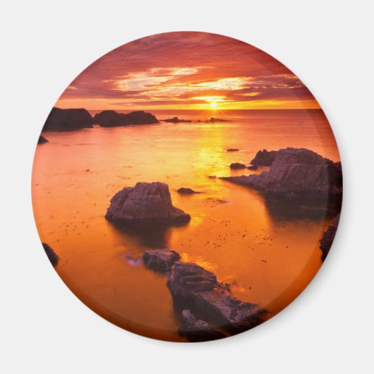 カリフォルニアのオレンジ色の海の風景、夕日 マグネット (正面)