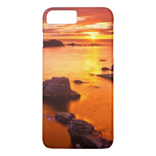 カリフォルニアのオレンジ色の海の風景、夕日 Case-Mate iPhoneケース (裏面)