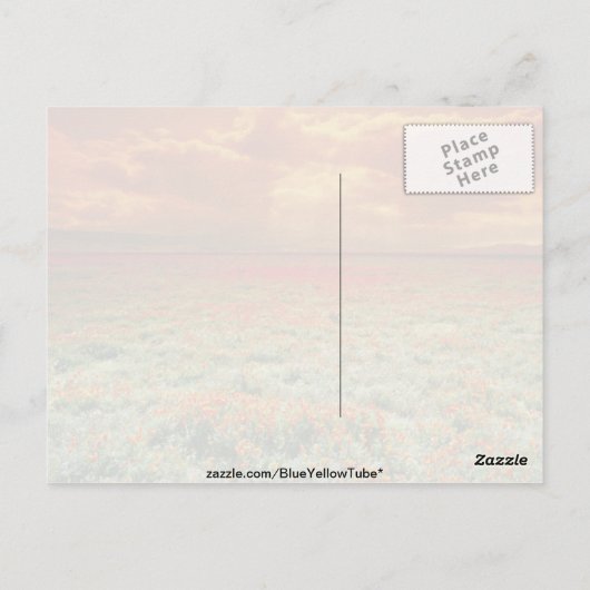 カリフォルニアのケシ畑の砂漠の夕日。 ポストカード (裏面)