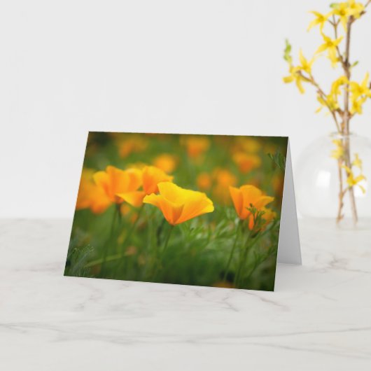 カリフォルニアのケシ畑オレンジポピー空白の カード (黄色い花)
