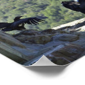 カリフォルニアのコンドル ポスター (角)