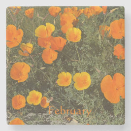 カリフォルニアのコースター： 2月の石コースター ストーンコースター