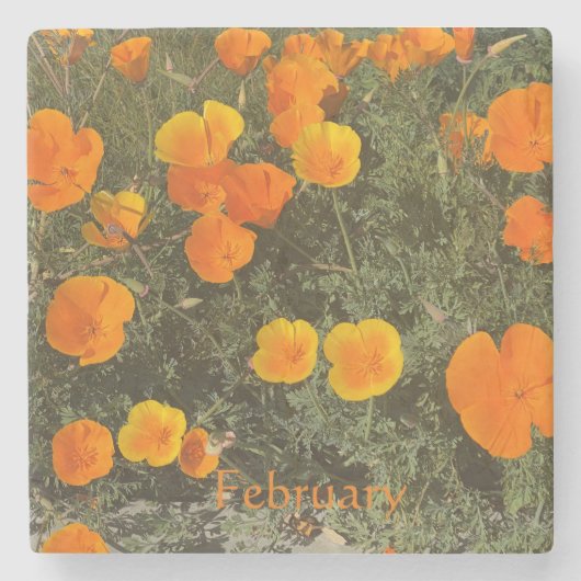 カリフォルニアのコースター： 2月の石コースター ストーンコースター (正面)