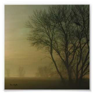 カリフォルニアのサンライズツリーシルエット写真 フォトプリント           