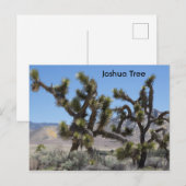 カリフォルニアのジョシュアツリー ポストカード (正面/裏面)
