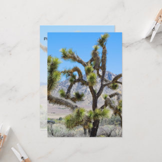 カリフォルニアのジョシュア・ツリー 招待状
