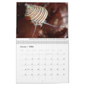 カリフォルニアのティデプールカレンダー カレンダー (1月 2026)