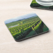 カリフォルニアのナパのきちんとした列に並んだブドウ コースター (左側)