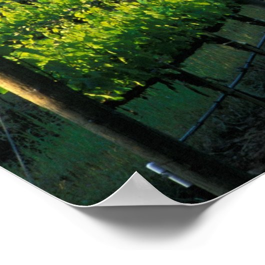 カリフォルニアのナパの整然とした列にブドウの木 ポスター (角)