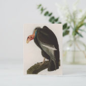 カリフォルニアのハゲワシの鳥のアメリカオードボンプリント シーズンポストカード (スタンド正面)