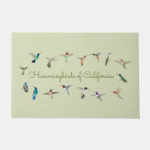 カリフォルニアのハミングバード
