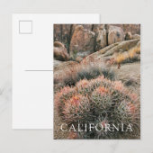 カリフォルニアのバレルサボテン ポストカード (正面/裏面)