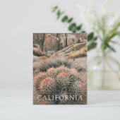 カリフォルニアのバレルサボテン ポストカード (スタンド正面)