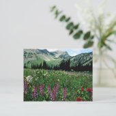 カリフォルニアのパサイテン原野の高山草原 ポストカード (スタンド正面)